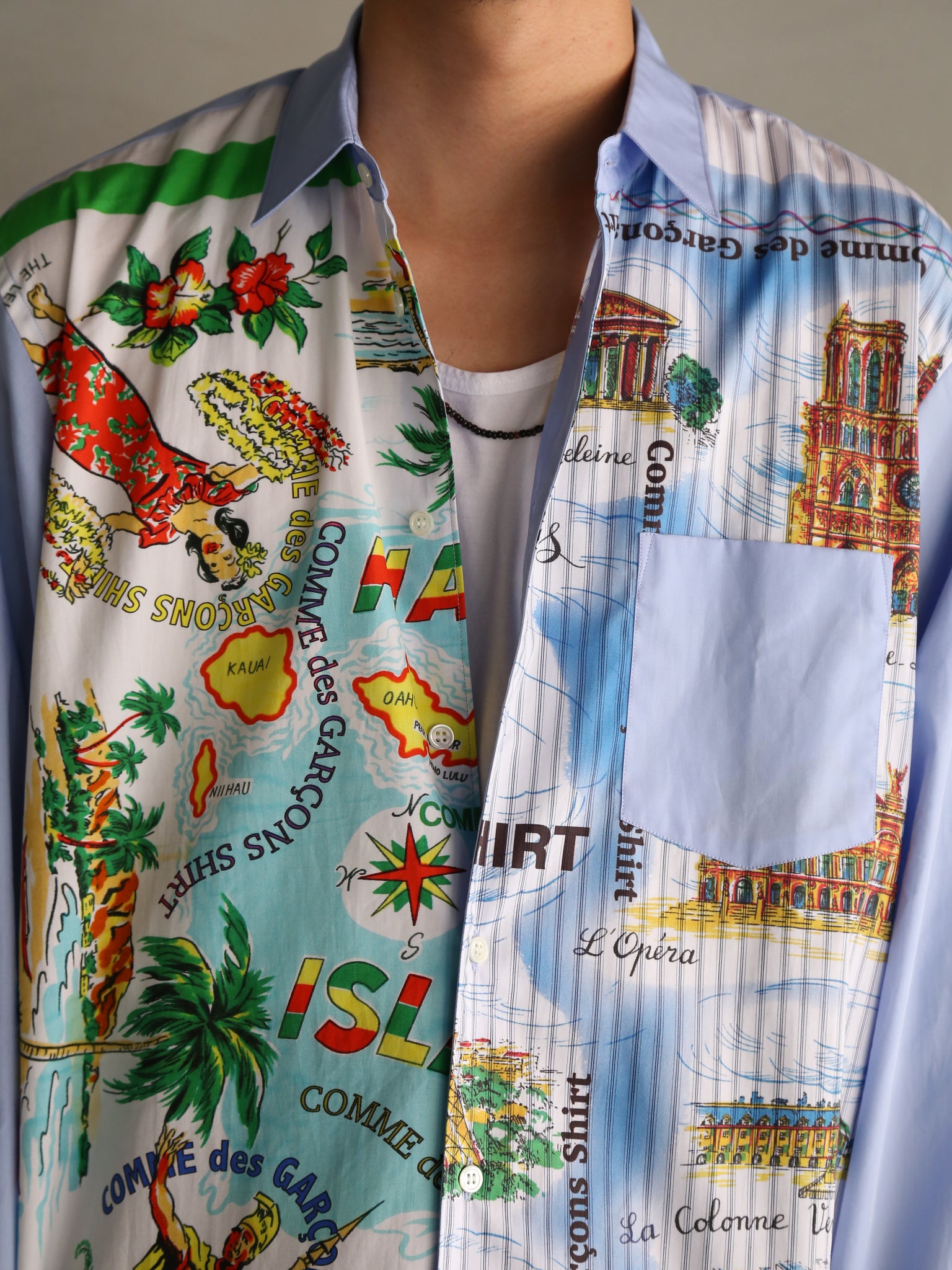 【COMME des GARCONS SHIRT】cotton plain poplin x cotton poplin print WIDE CLASSIC (SH)