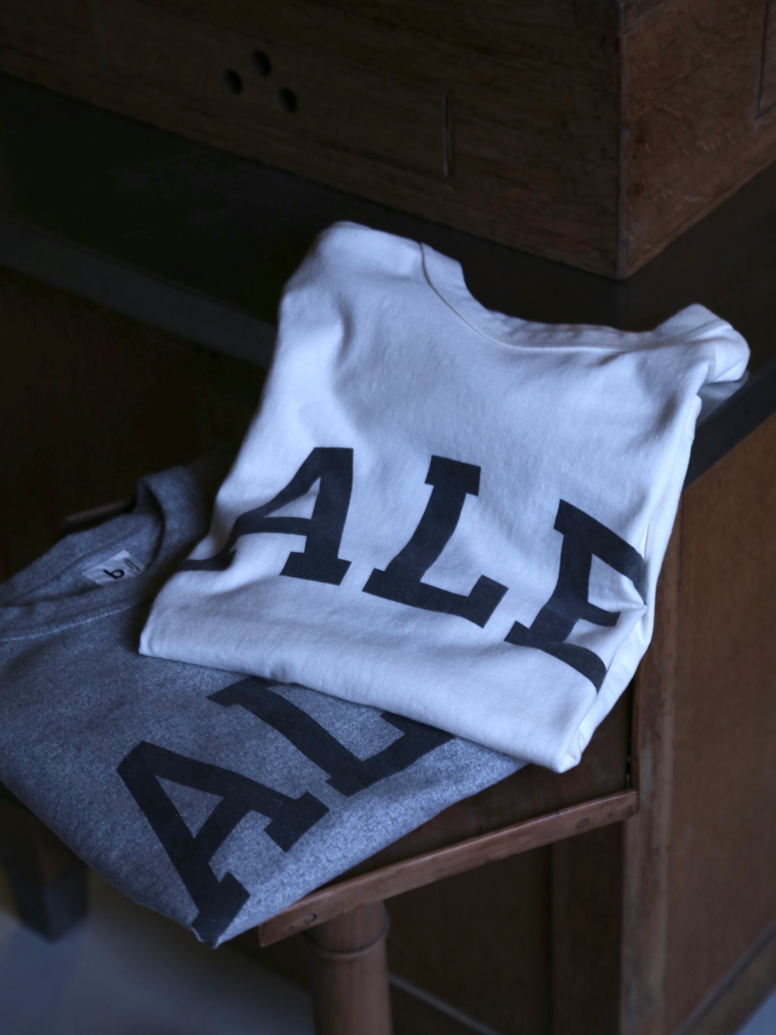 ALE-Y 88/12 Print Tee STANDARD